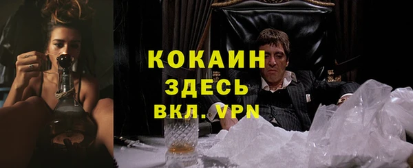 соль ск Бородино