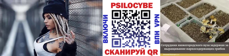 Галлюциногенные грибы Cubensis  где можно купить наркотик  Северск 